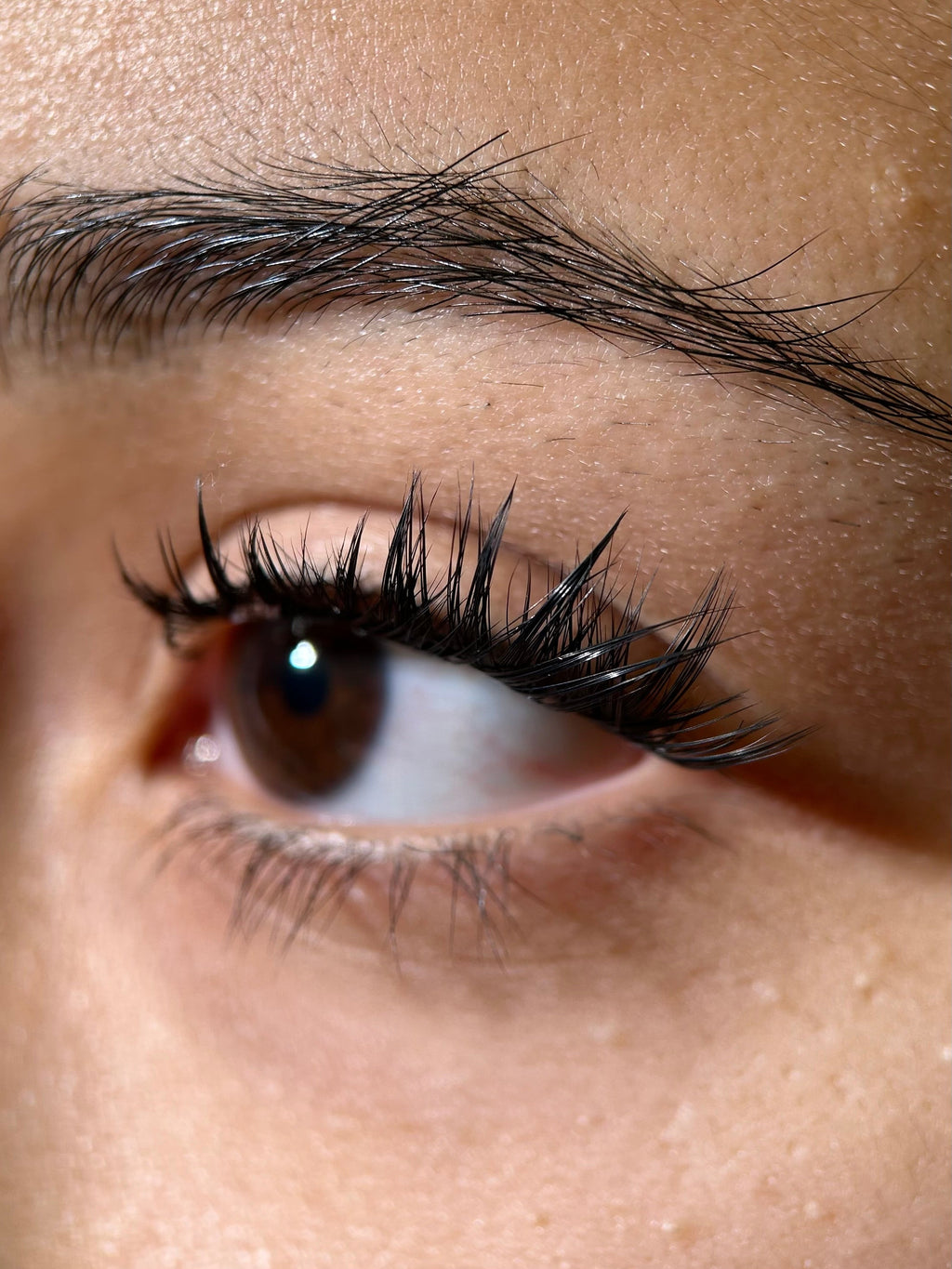 Swift Lash Cluster -AB-C-017 (Great for wispy look)