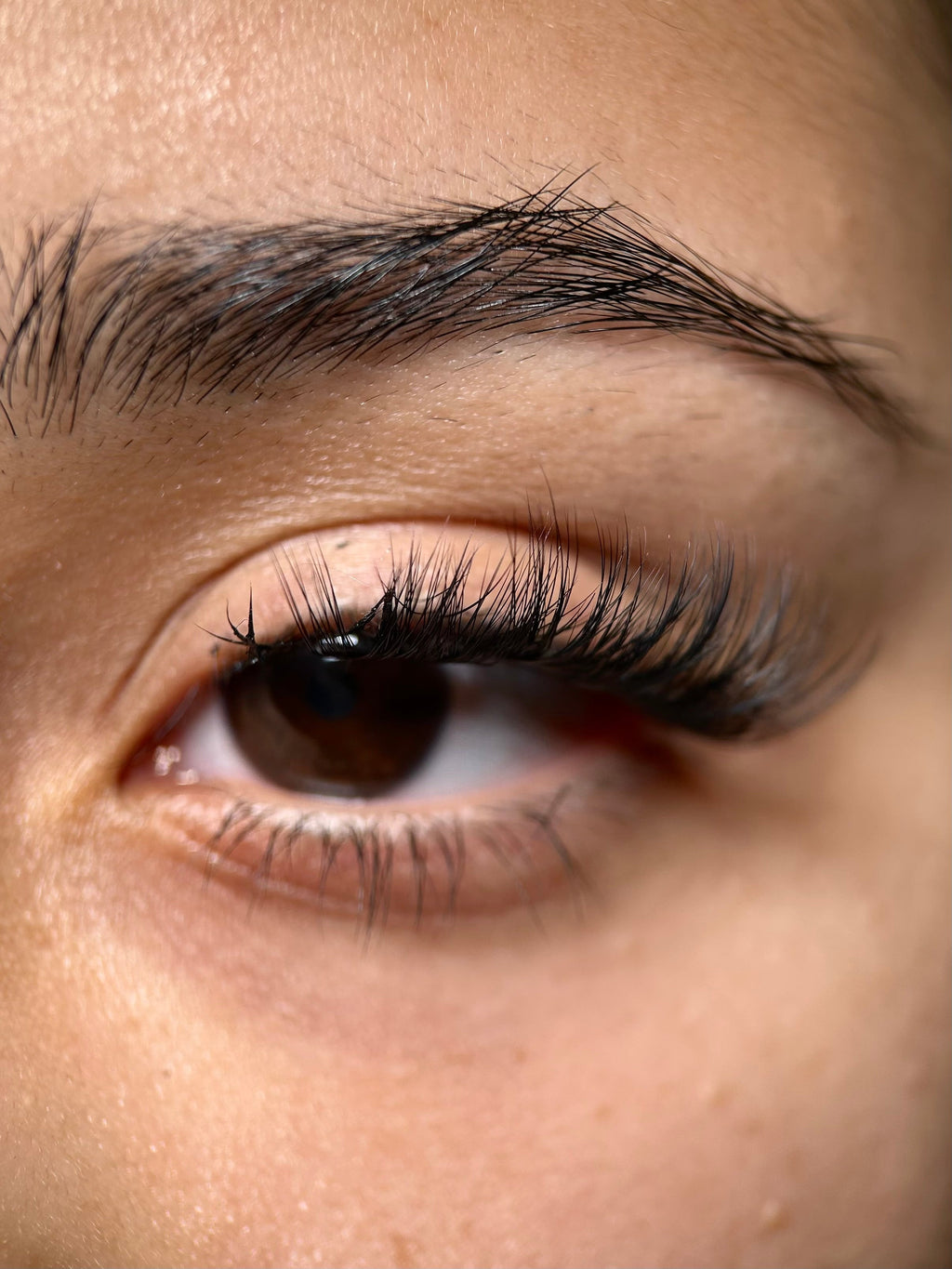 Swift Lash Cluster -AB-007