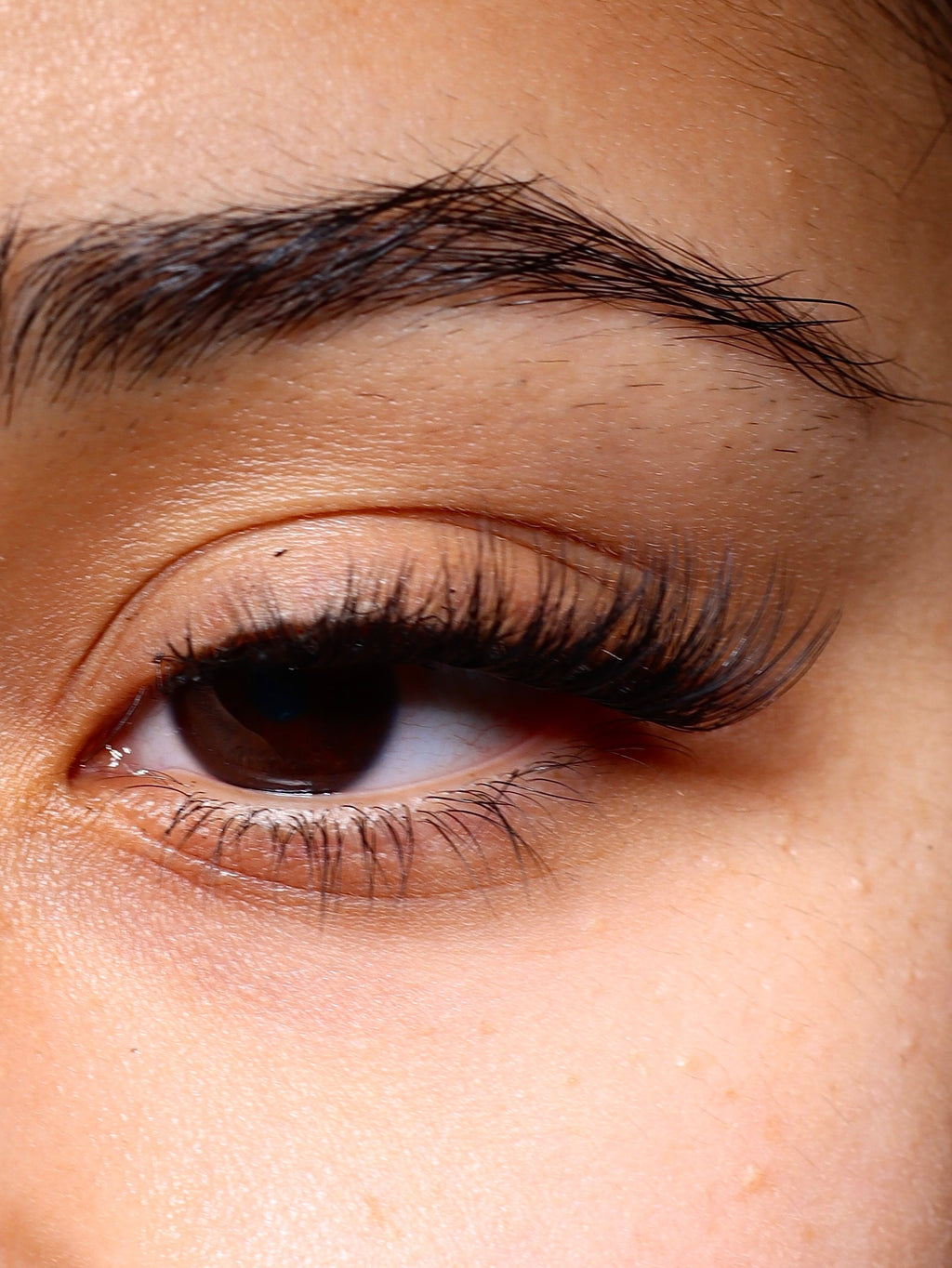 Swift Lash Cluster -AB-007