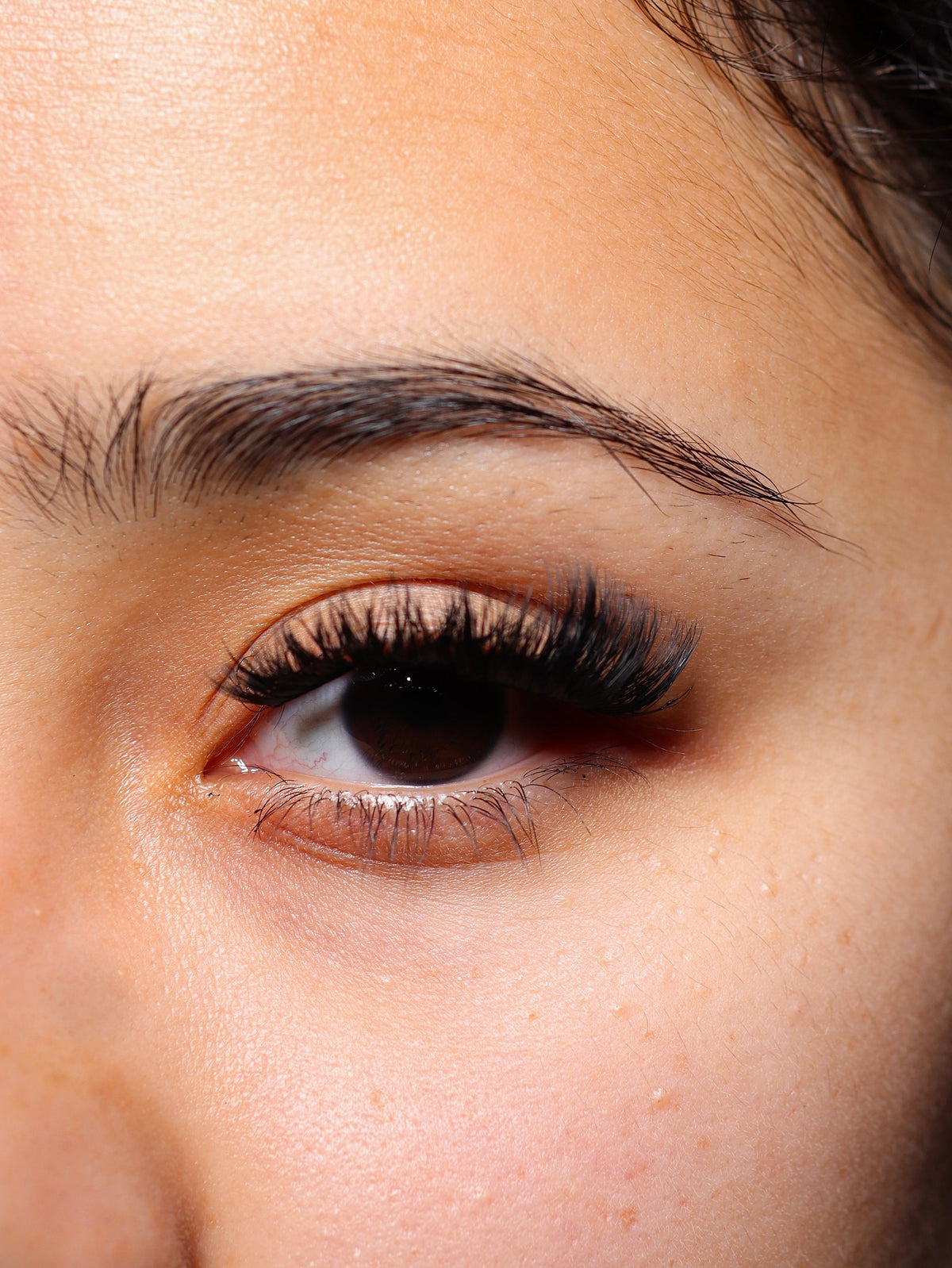 Swift Lash Cluster -AB-004 (Great for cat eye bold look)