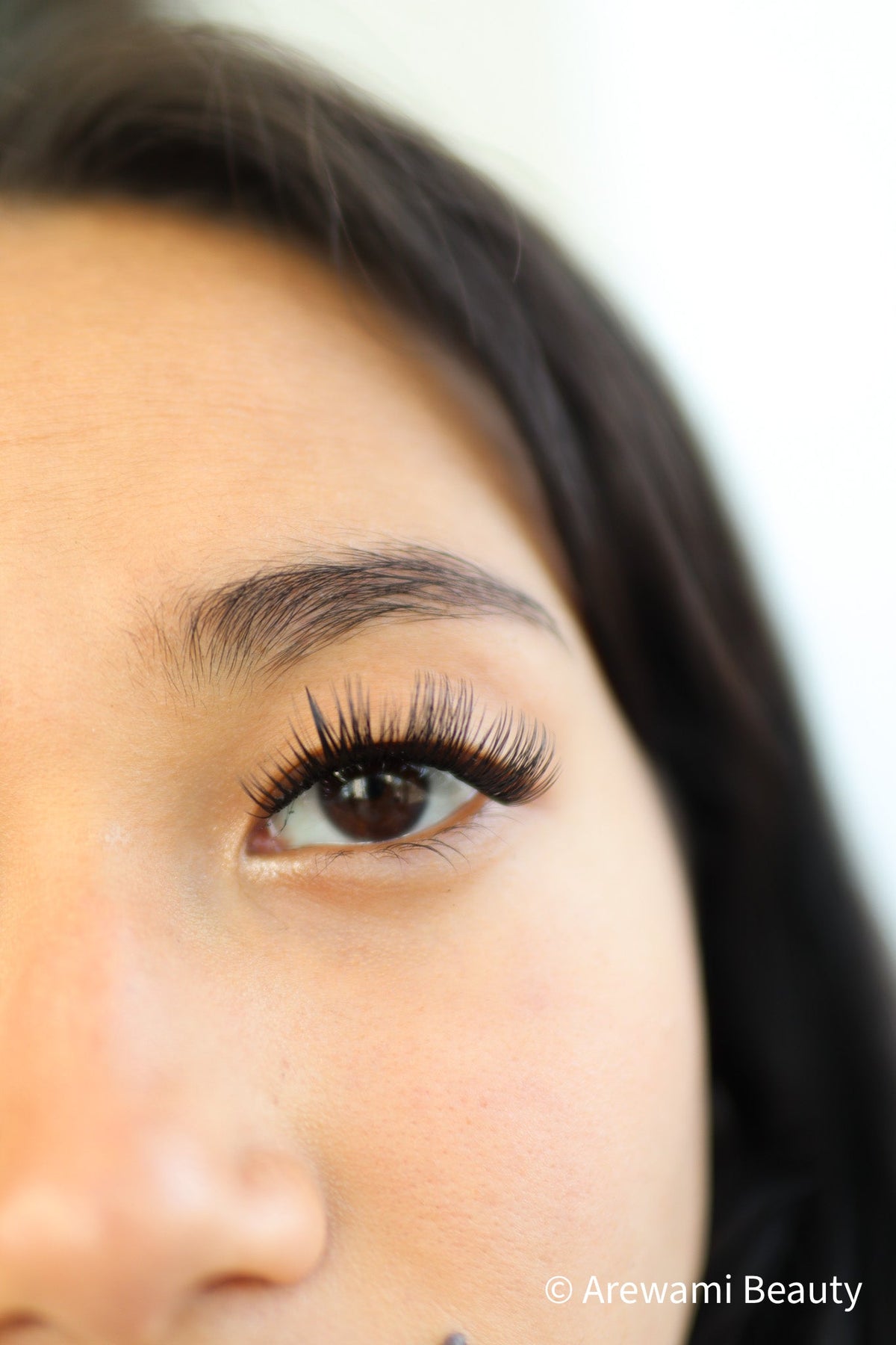 Swift Lash Cluster -Regal